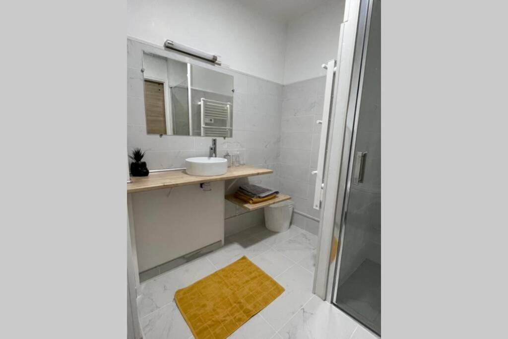 Petit Appartement Cosy A Troyes Eksteriør bilde